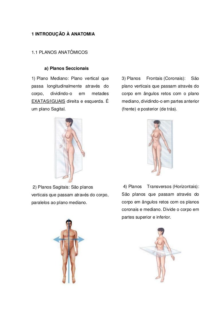 Logar para bajar de peso costovertebral joint